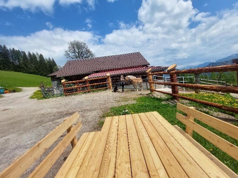 Kohlegghof Apart otel Schwemmberg Dış mekan fotoğraf